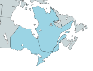 map-ON + PQ